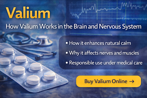 The Effect of Valium on the Brain and the Nervous System