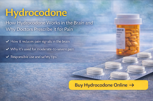 The Effects of Hydrocodone in the Brain and the Reasons Doctors prescribe it to treat pain