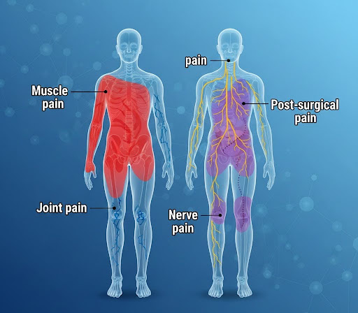 Why Pain gets Harder to Control as you age and What You Can do about It